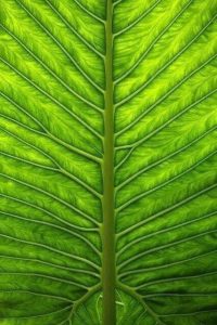 Yves Bonnet 17 juillet 2022